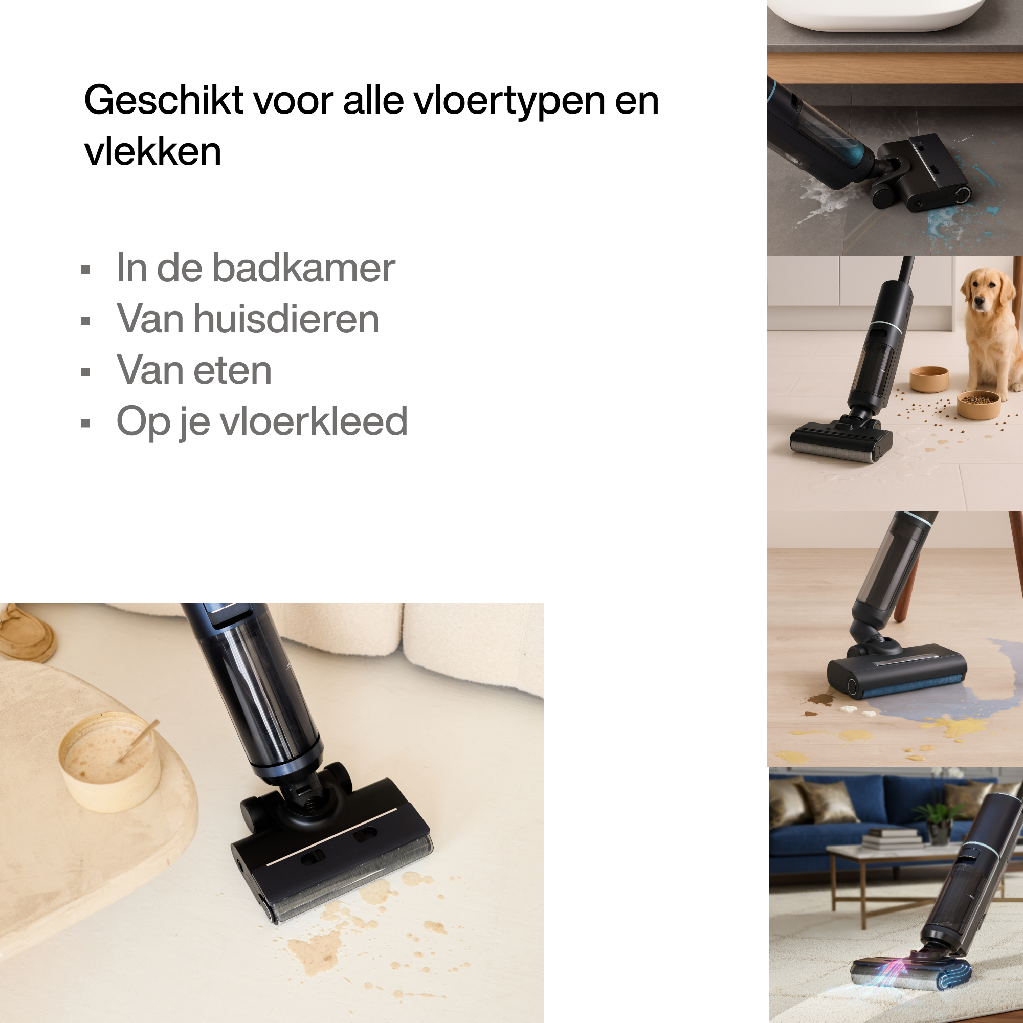 Dweilstofzuiger Aqualis S1