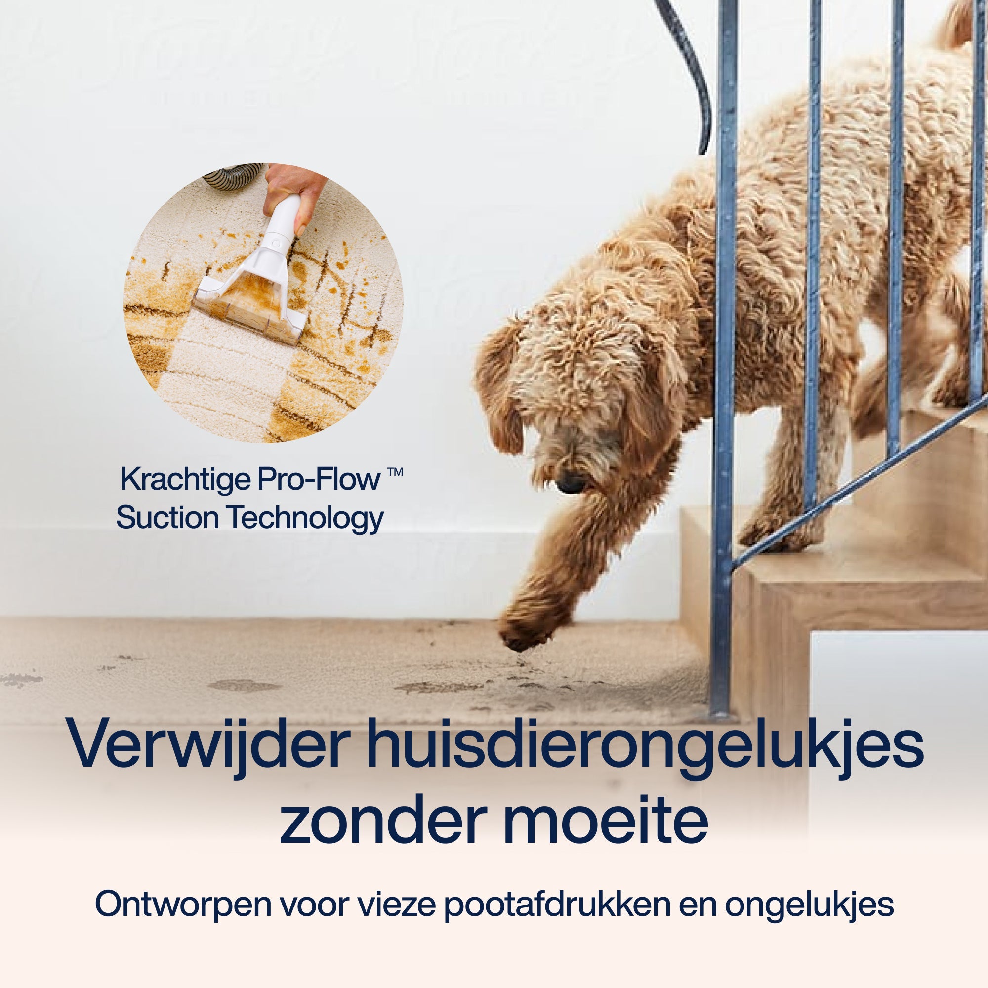 Schoonmaakbundel Essential (oud)