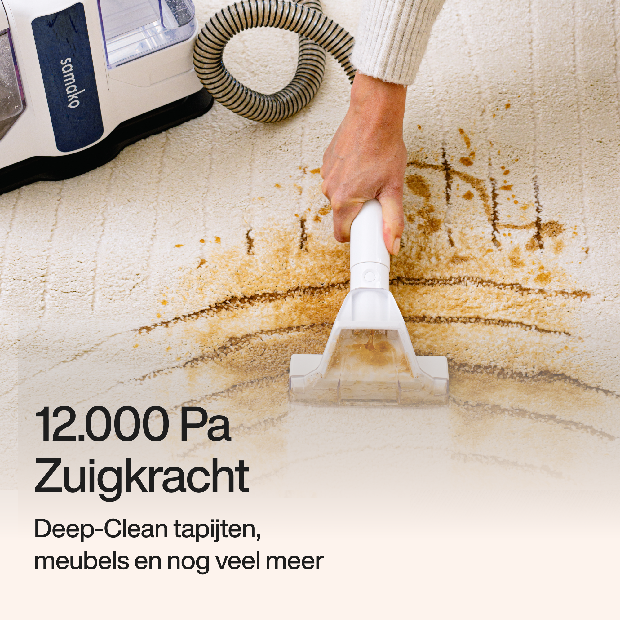 V-reiniger PowerClean